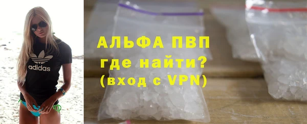 PSILOCYBIN Инсар