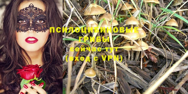 a pvp Каменногорск