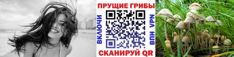 Псилоцибиновые грибы мухоморы  MEGA ссылка  Кимры 